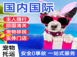宜宾五粮液空运公司国际宠物托运 【国